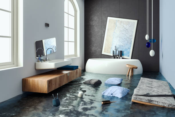 Best Water damage repair service  in Timberlane, IL