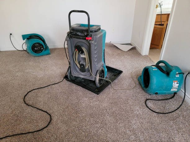 Water damage restoration mold remediation in Timberlane, IL