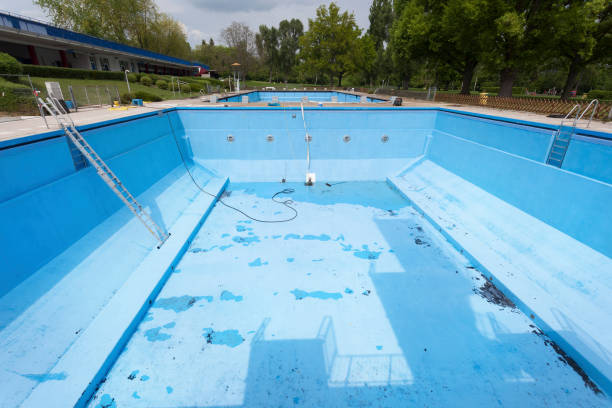 Best Water damage contractors near me  in Timberlane, IL