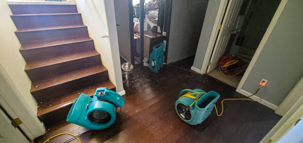 Best Carpet water damage restoration  in Timberlane, IL