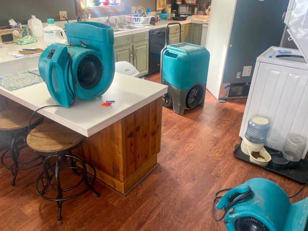 Best Water damage restoration mold remediation  in Timberlane, IL