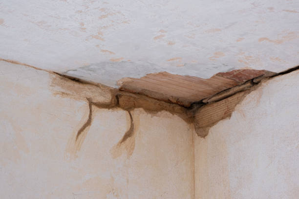 Best Flood restoration services  in Timberlane, IL