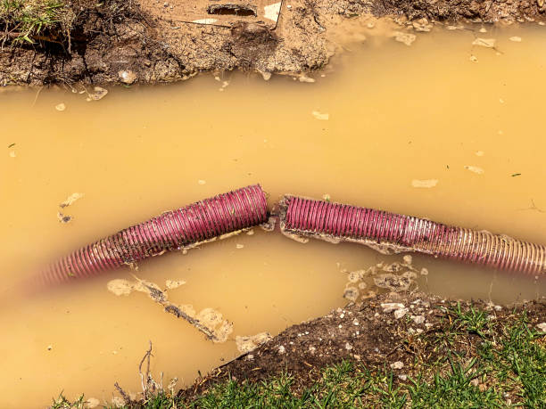 Best Residential water damage restoration  in Timberlane, IL